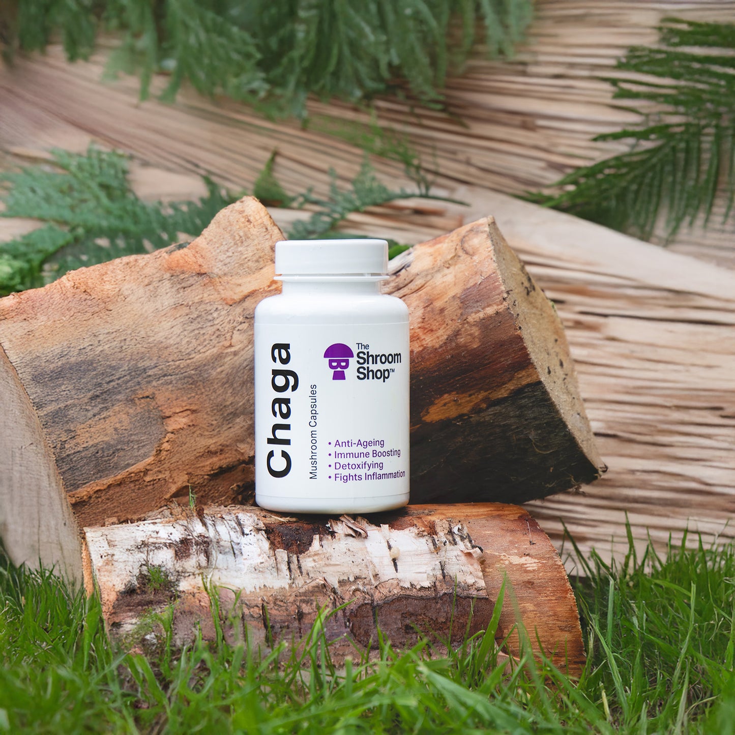 The Shroom Shop Chaga Mushroom Capsules