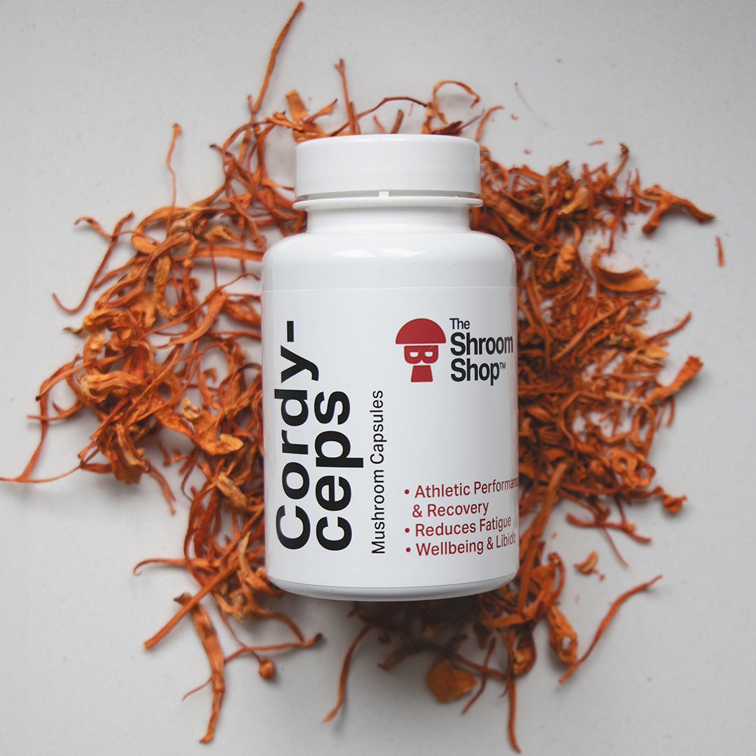 The Shroom Shop Cordyceps Mushroom Capsules