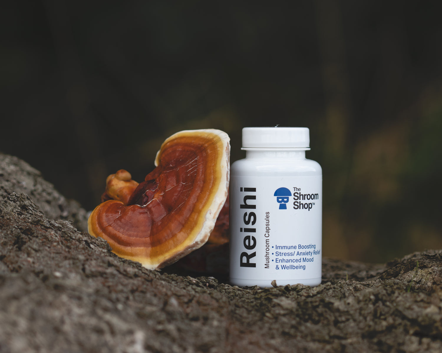 Reishi Mushroom Supplement