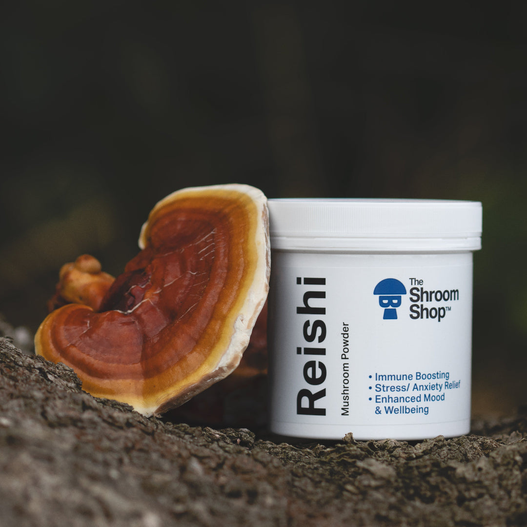 The Shroom Shop Reishi Mushroom Powder